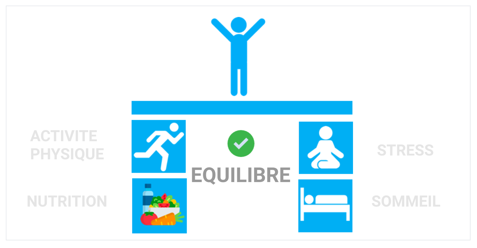 Les 4 piliers de l'équilibre